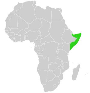 Somalia - Lage in Afrika